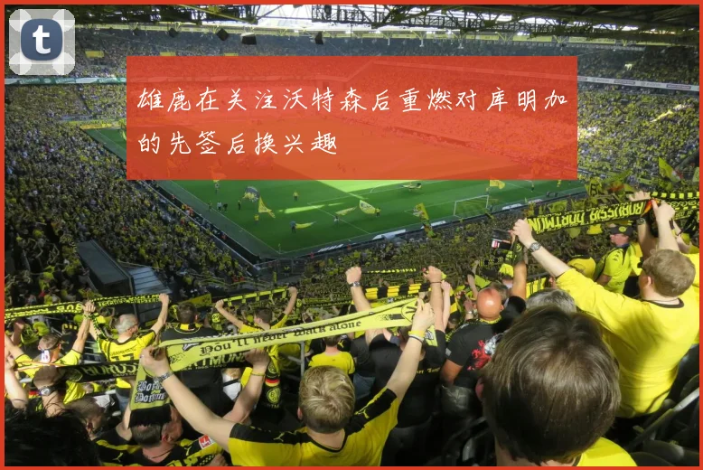 雄鹿在关注沃特森后重燃对库明加的先签后换兴趣